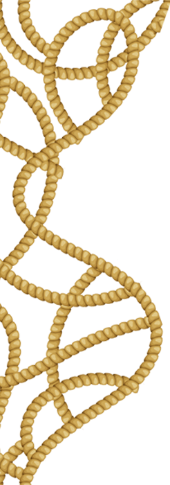 Rope